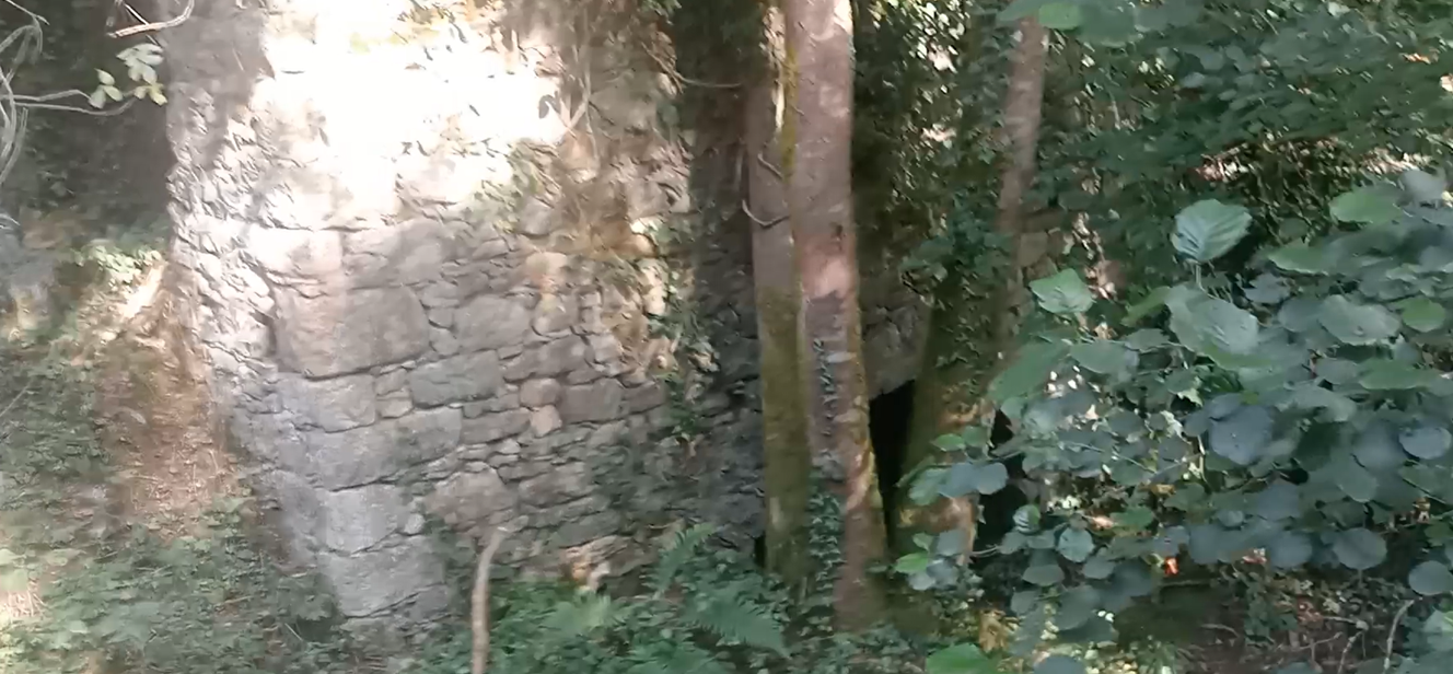 Molino 3_1